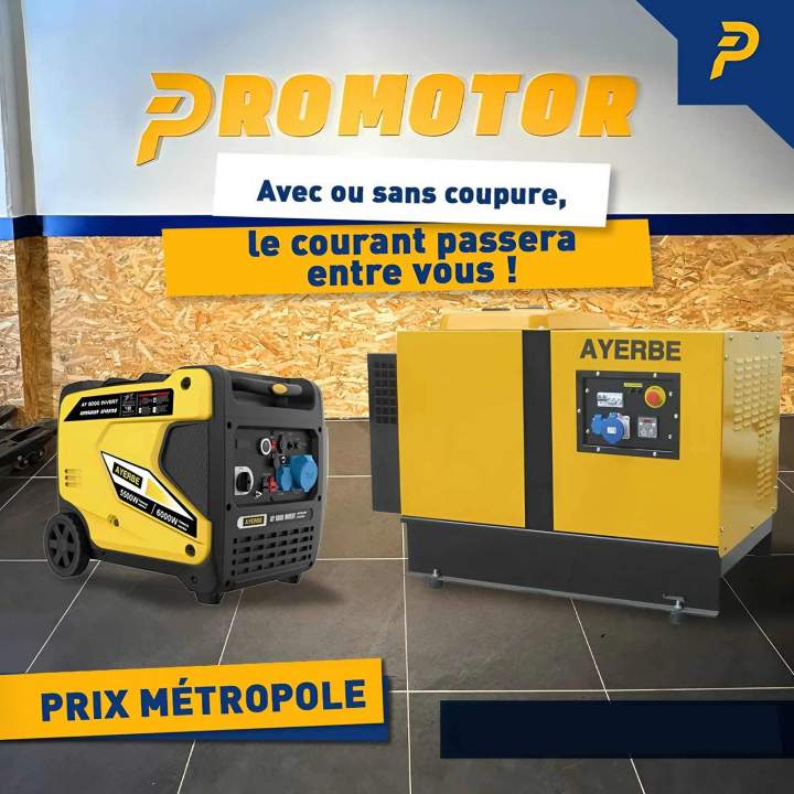 Distributeur de groupe électrogène Martinique